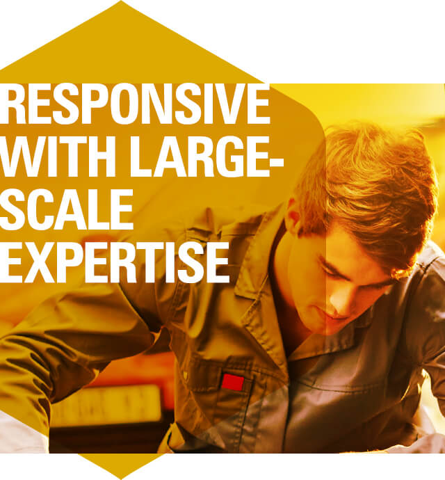 Responsive with Large-Scale Expertise